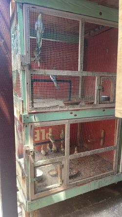 Bird cages