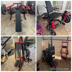 Gym Machines And Weights 