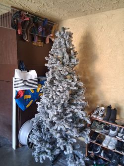 Christmas 🎄 Tree