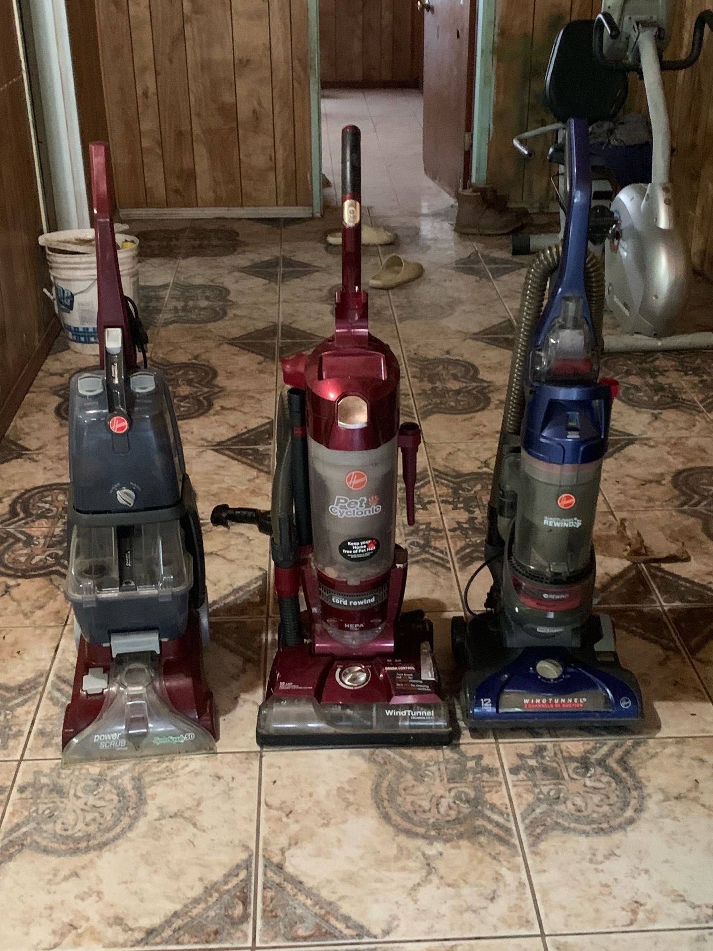 Vac and shampooed