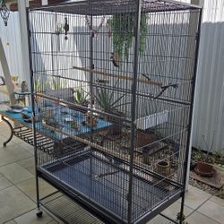 Jaula Negra Para Aves En Exelentes Condiciones Nueva 