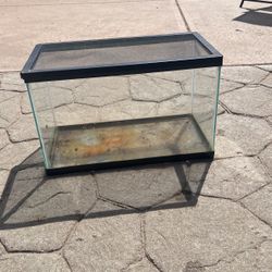 Terrarium 