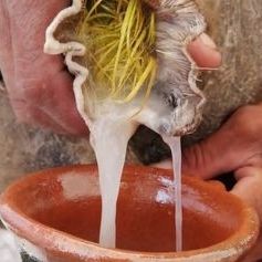 PULQUE Y AGUA MIEL ORIGINAL DE MEXICO