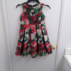 Girls Flowers Dress