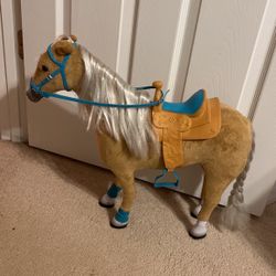 My life Palomino Horse 