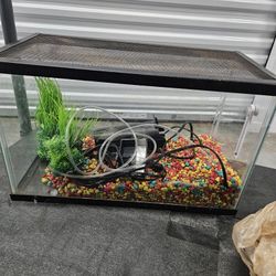 Aqueon Fishtank

