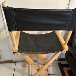 Professional Directors Movie Chair