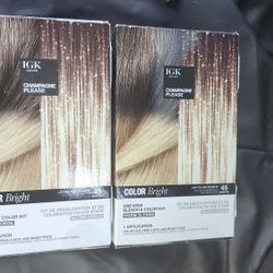 Warm Blonde Bleach & Color Kit