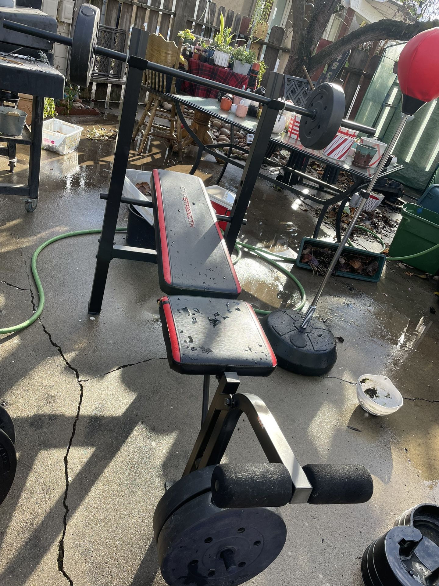 Weight Bench 