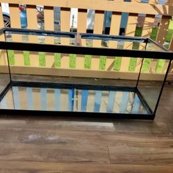 FISH TANK / PECERA (52 GAL)