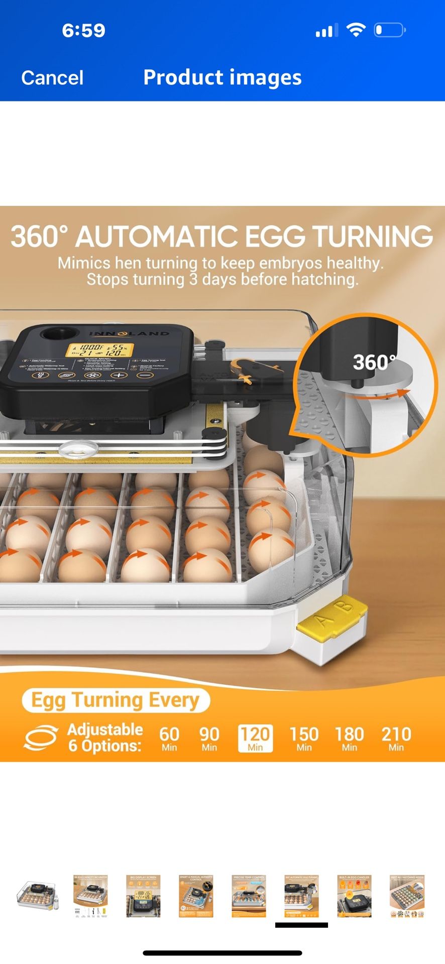 Bird Incubator