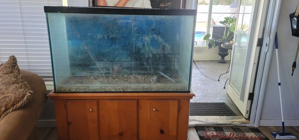 110 Gallon Fish Tank