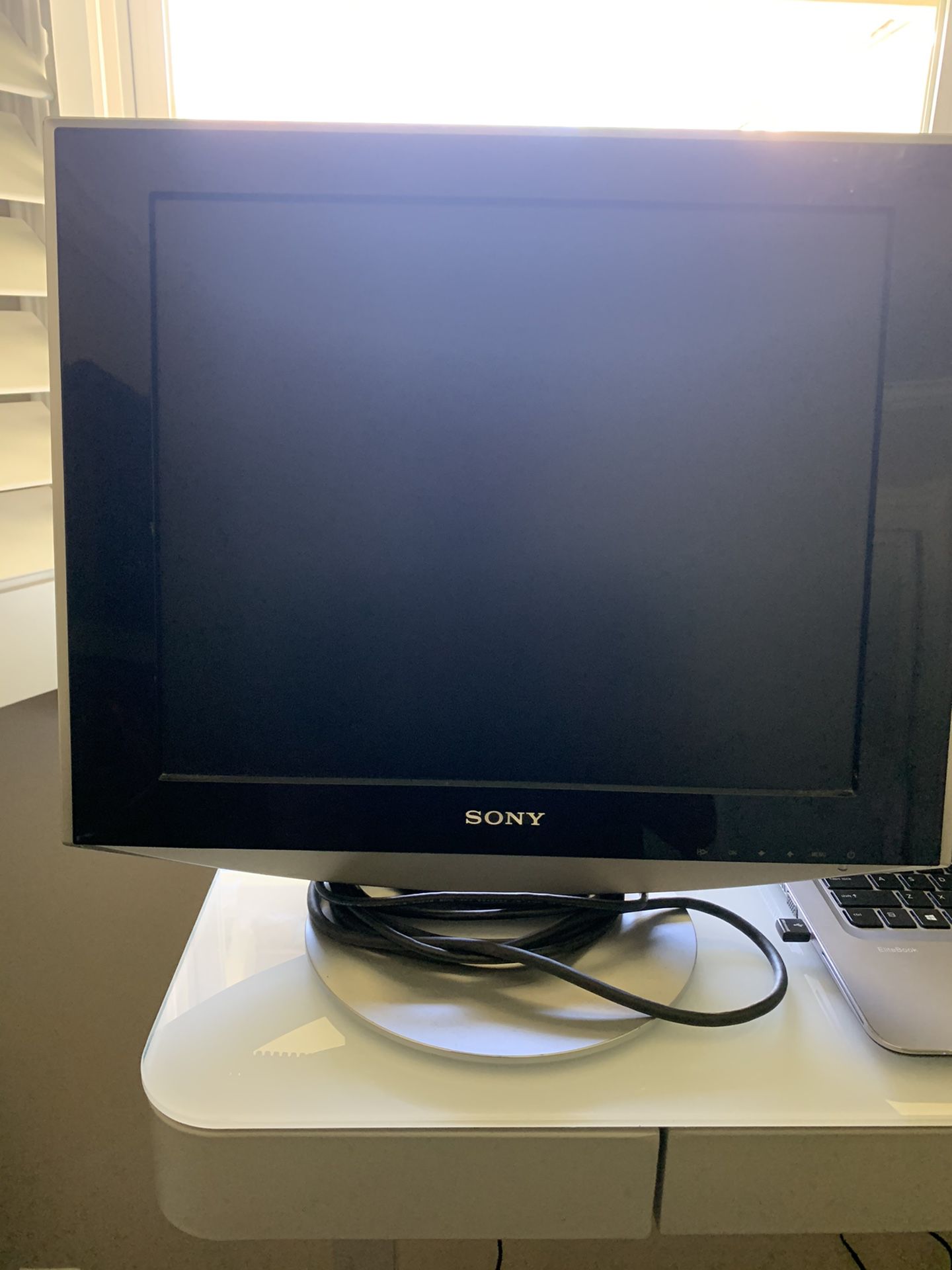 $5 Donation & Free Sony LCD Color Computer Display Monitor SDM-HS73