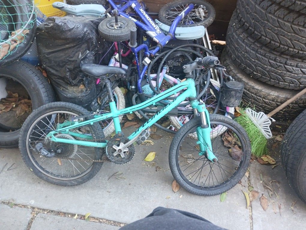 Mountain Bike