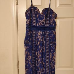 Women's Blue Lace and Nude Sheath Dress size Medium 