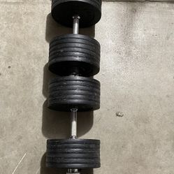 Weights 