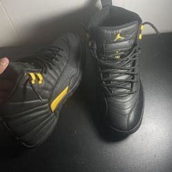 Size 11 Jordan 12s