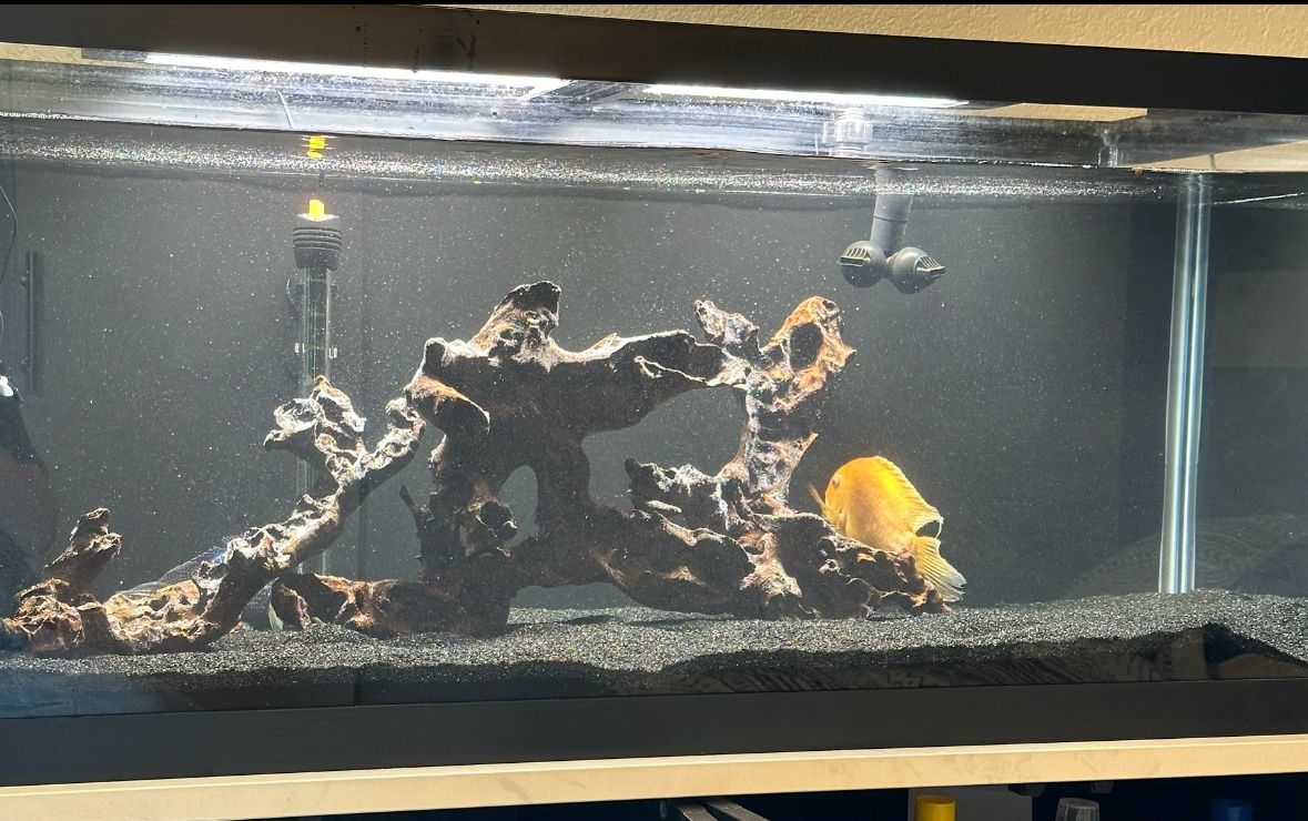 75g Aquarium Setup – FX4, Fluval Light, Heater, Lids – $425.00  OBO Sold As A Set No Fish Or Decor