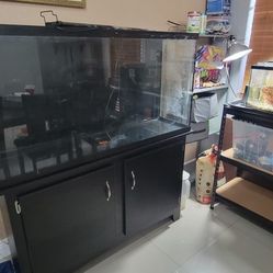 Aquarium 60 Gallon Tall With Cabinet