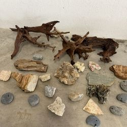 Aquarium Drift Wood And Rocks For Sale