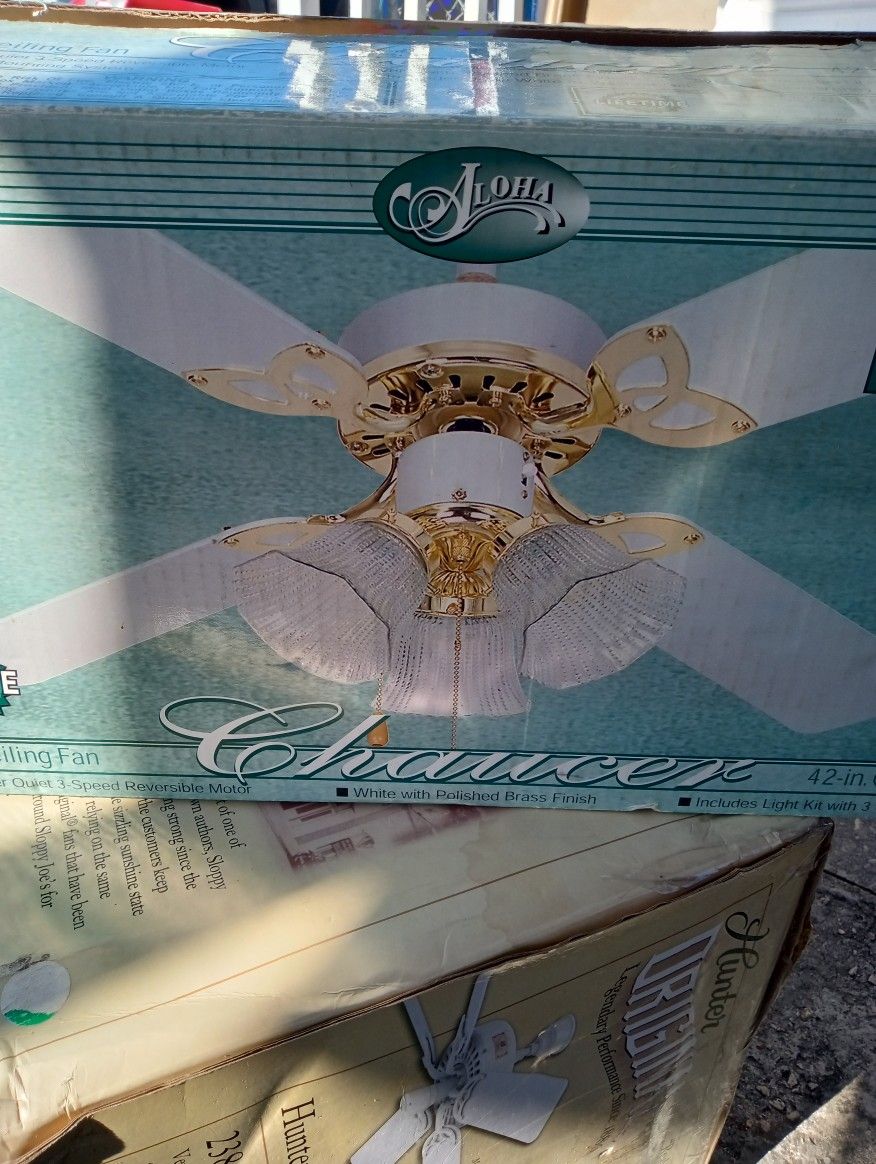 Ceiling Fan / Ventilador de techo