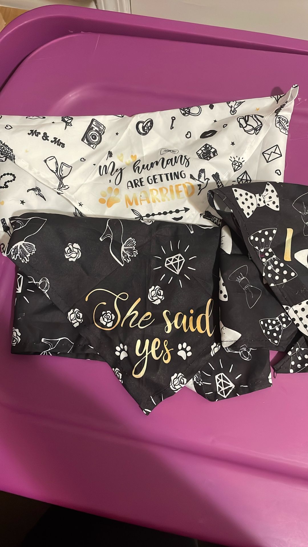 Pet Bandana 