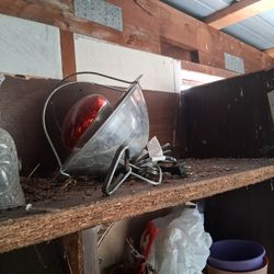 Heat Lamp