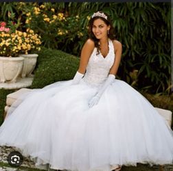 Princess Style Wedding Dress Never Worn  $2,000 Willing To Negotiate 
