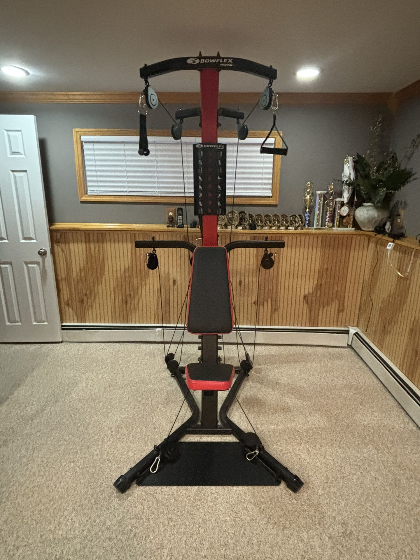 Bowflex PR 3000 Home Gym