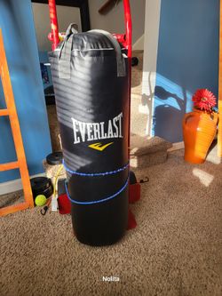 Everlast Boxing Bag & Frame
