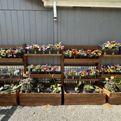 Flowers, Bouquet, Wedding, Birthday, Party 