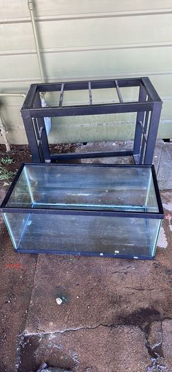 40 Gallon Fish Tank And Stand