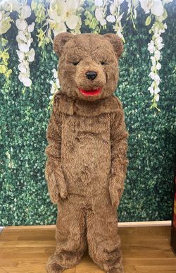 Bear Costume Character