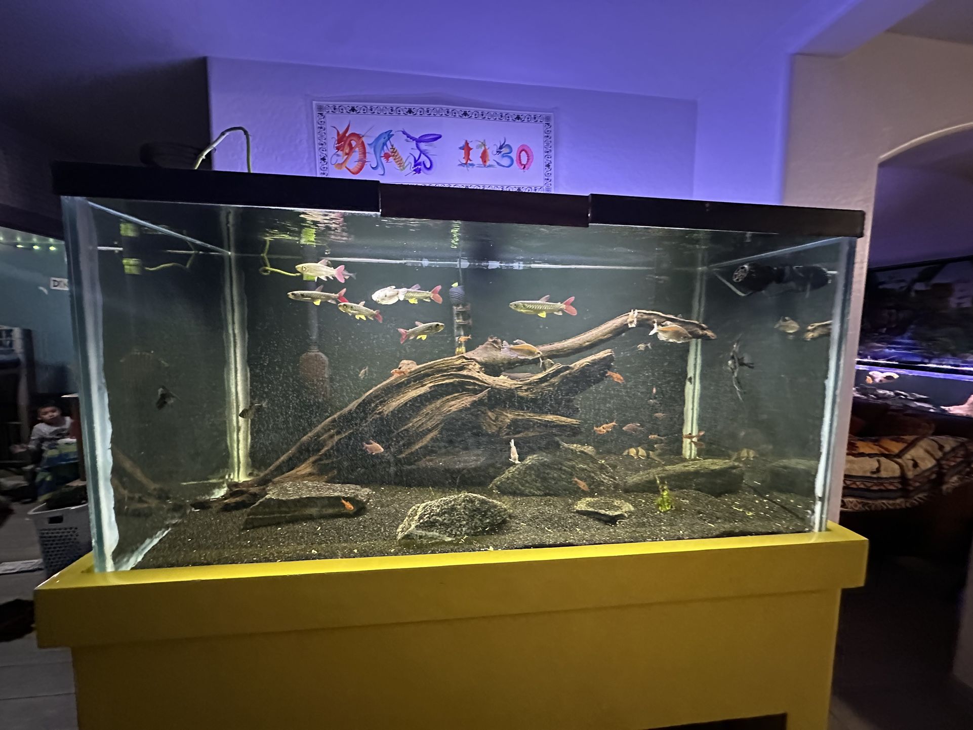 120 Gallon Fish Tank