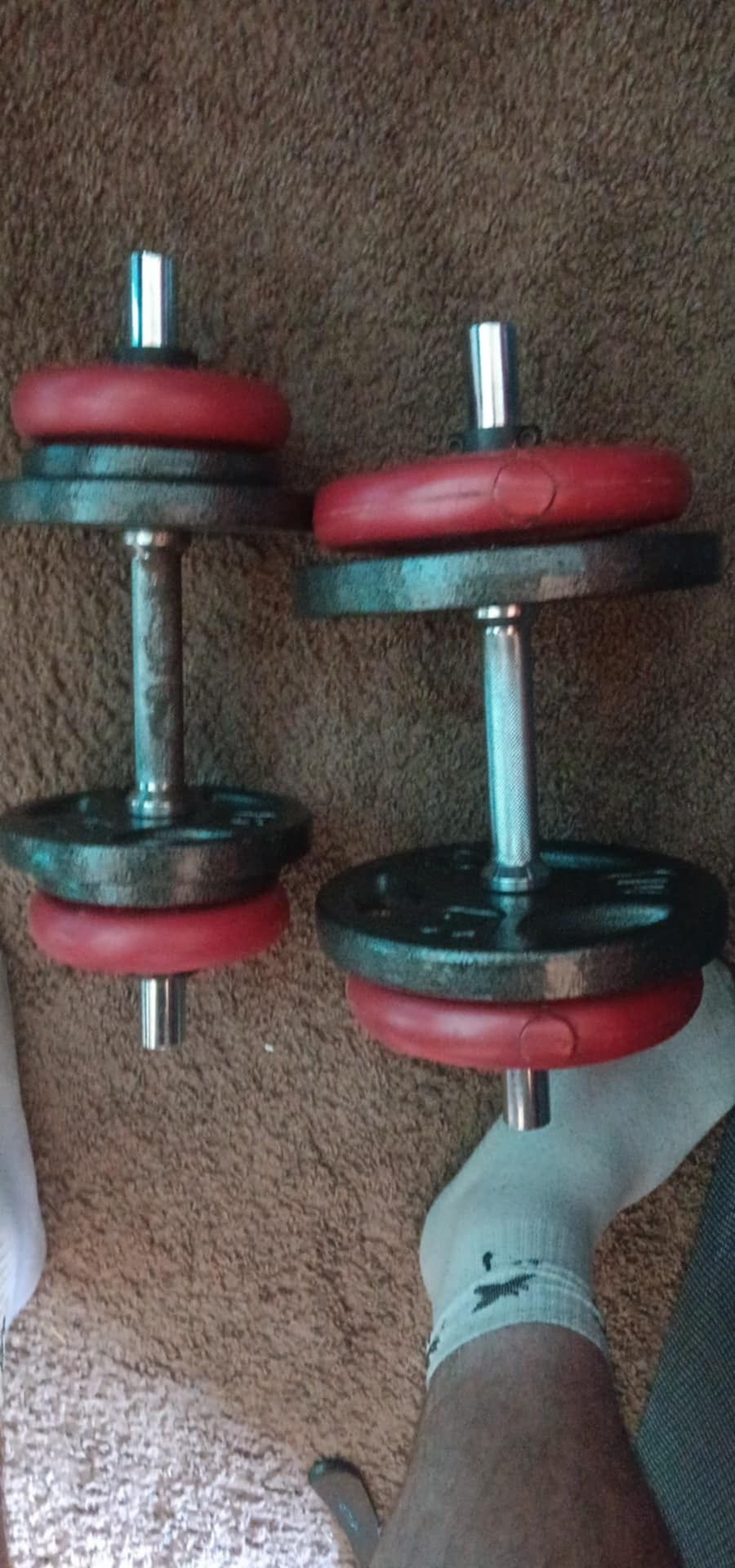 Weight Bench 16 Plates Adjustable Dumbbell Bars