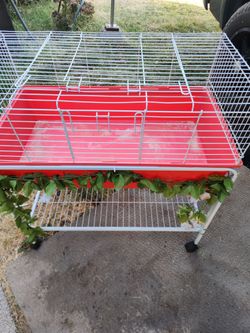 Cage