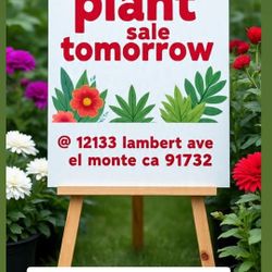 Yard/ Plant Sale  Today SUNDAY 