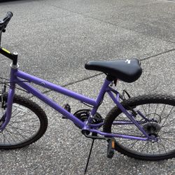 Magma Road Bike 