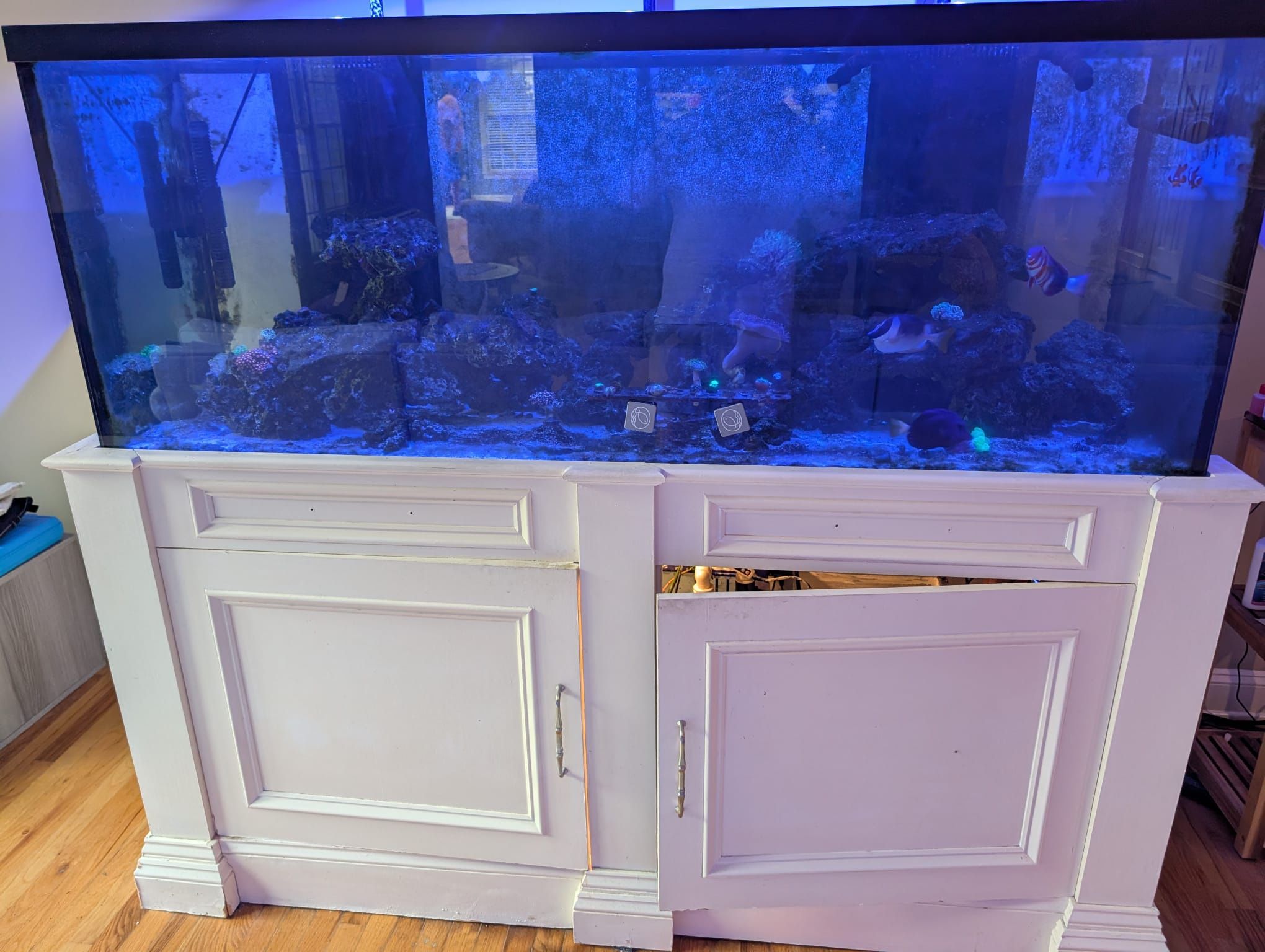 210 GALLON FISH TANK WITH STAND & SUMP - GREAT CONDTION