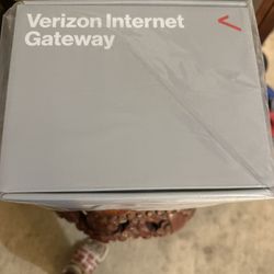 Verizon Internet Gateway 