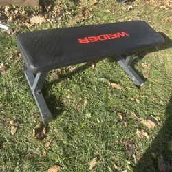 Traditional Workout Bench