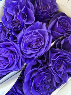 25 purple roses bouquet