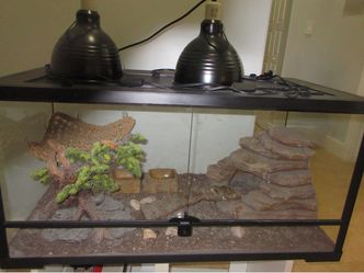 Open Glass Reptile Terrarium