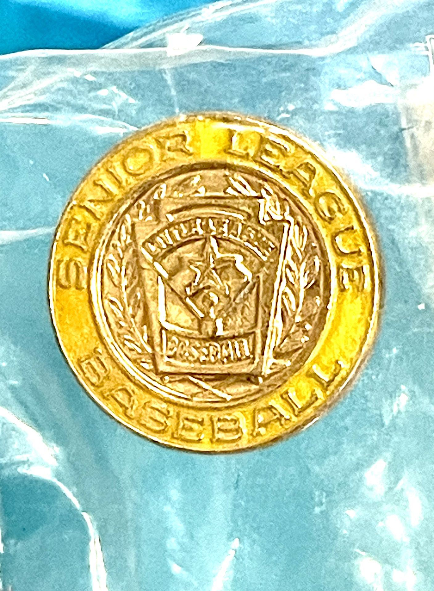 New Balfour Senior Little League Pin