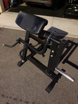 Preacher Curl Bench