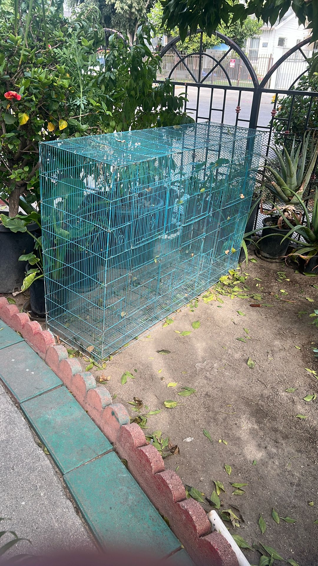 Blue Bird Cage