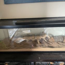 Reptile Tank 