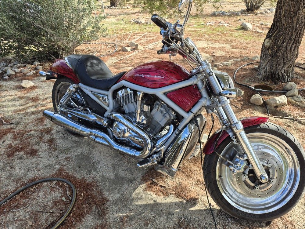 2003 Harley-Davidson Vrod