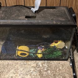 20 Gallon Tank 10$ With Lid And Accessed