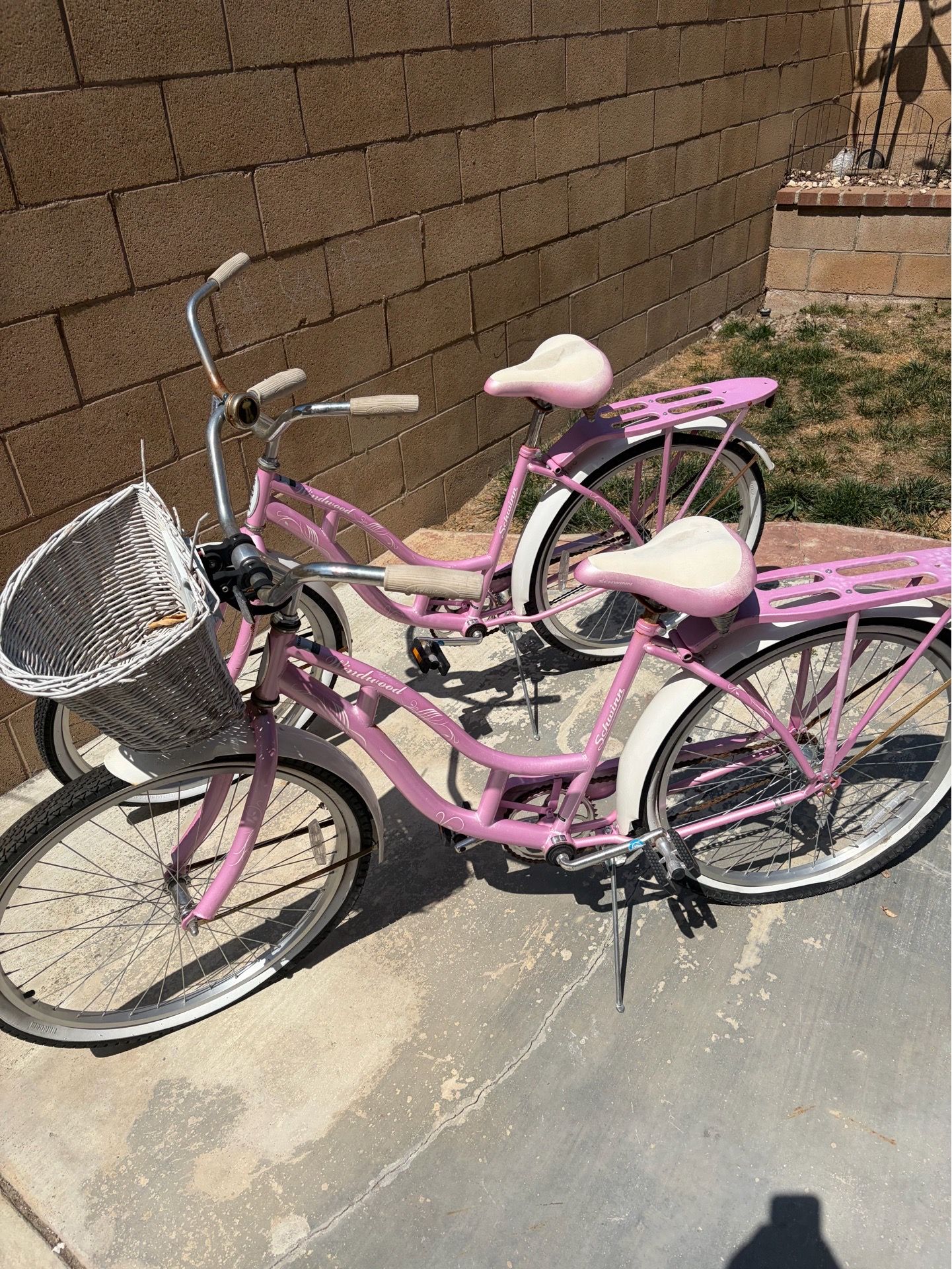 FREE Schwinn beach cruisers